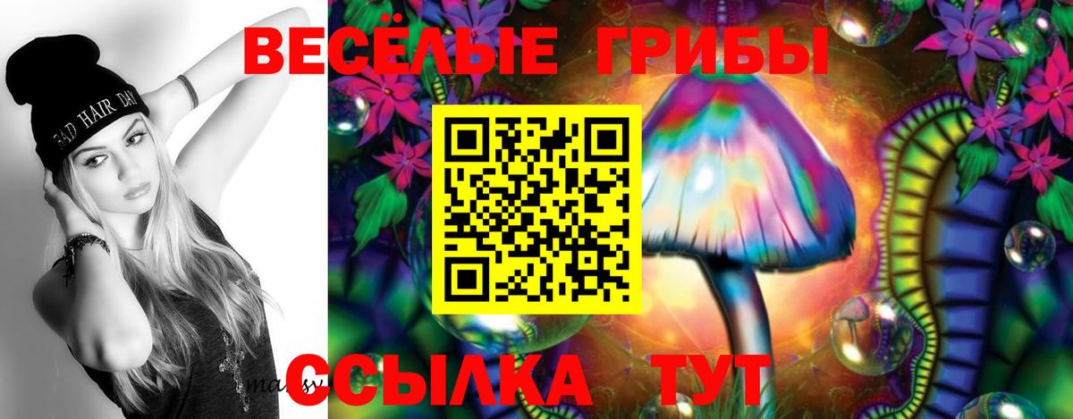 Псилоцибиновые грибы Magic Shrooms  Вход с VPN  Славгород  Псилоцибиновые грибы Psilocybe 
