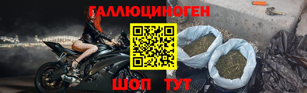 Галлюциногенные грибы GOLDEN TEACHER Славгород